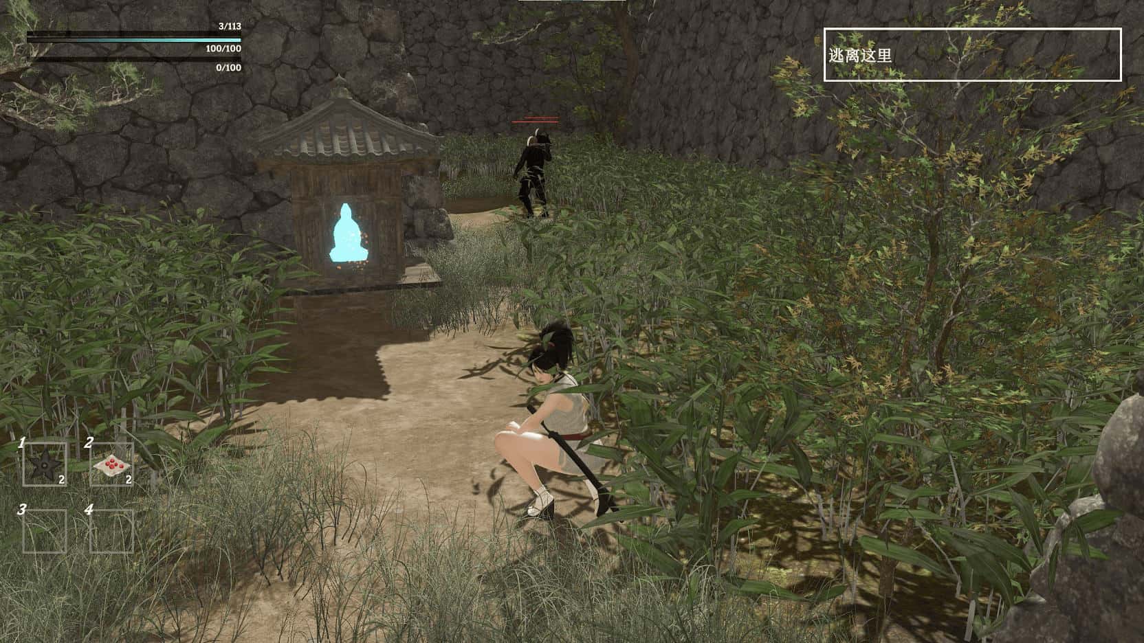 失落的忍者/迷失的忍者 The Lost Shinobi